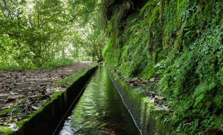 Kings Levada - São Jorge