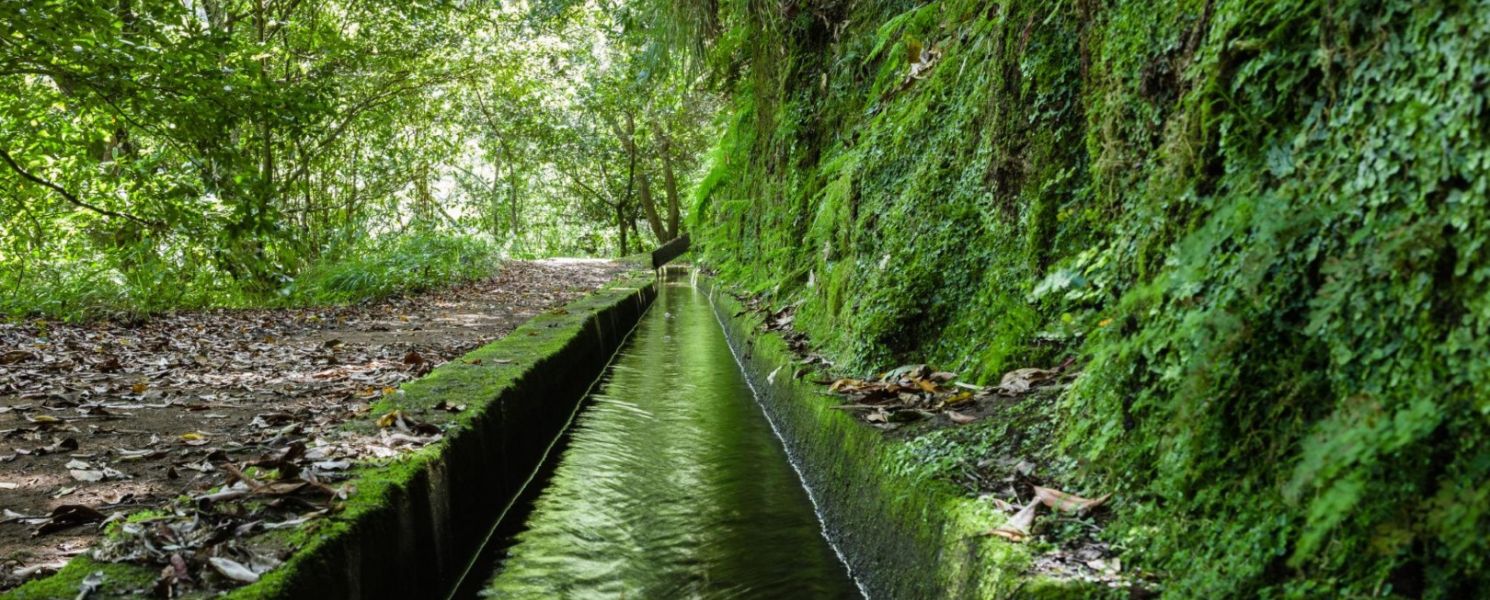 Kings Levada - São Jorge