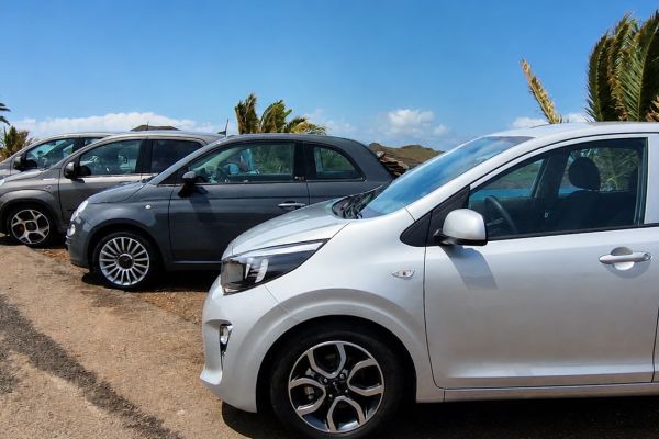 Car Rental