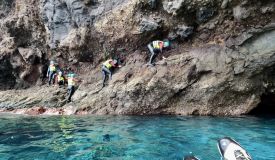Coasteering
