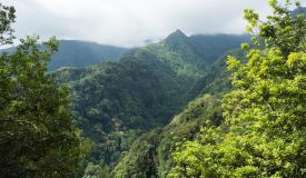Kings Levada - São Jorge