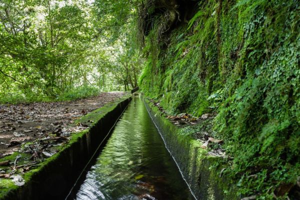 Kings Levada - São Jorge