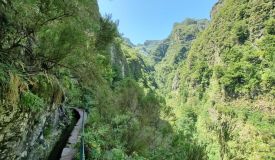 Kings Levada - São Jorge