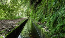 Kings Levada - São Jorge